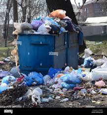 Trusted Dover, FL Junk Removal Services Experts