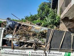 Best Property Management Cleanouts  in Dover, FL